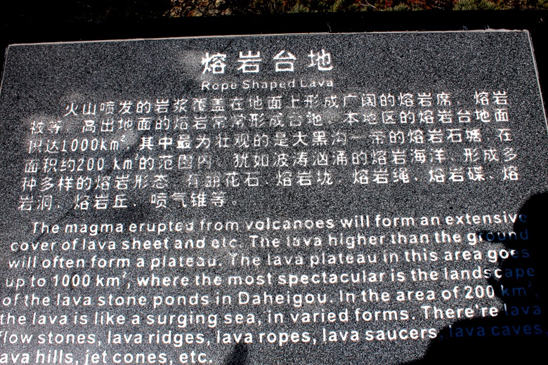 img_5560.jpg