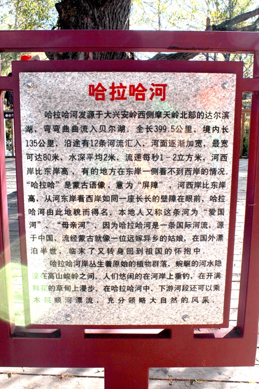 img_5567.jpg