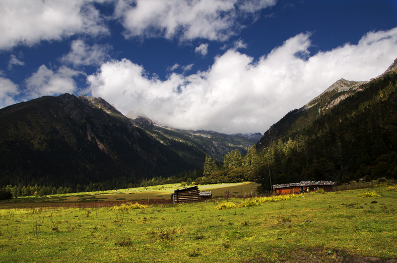 edsc_10247.jpg