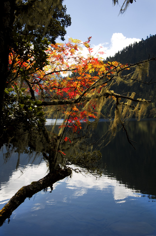 edsc_0271.jpg