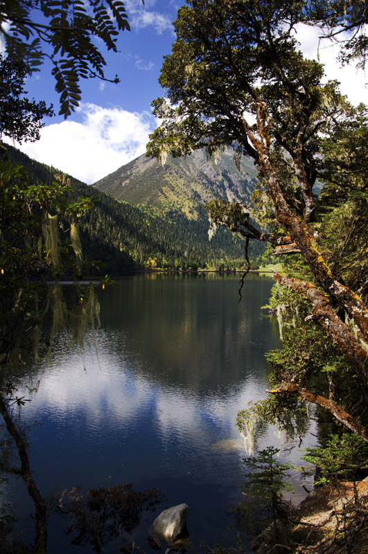 edsc_0280.jpg