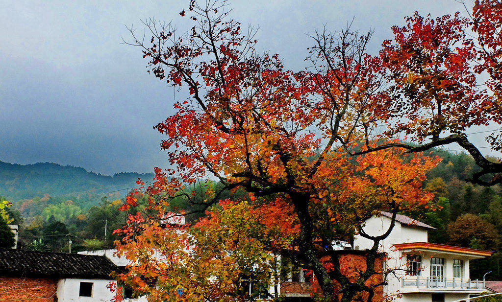 dscf2287.jpg