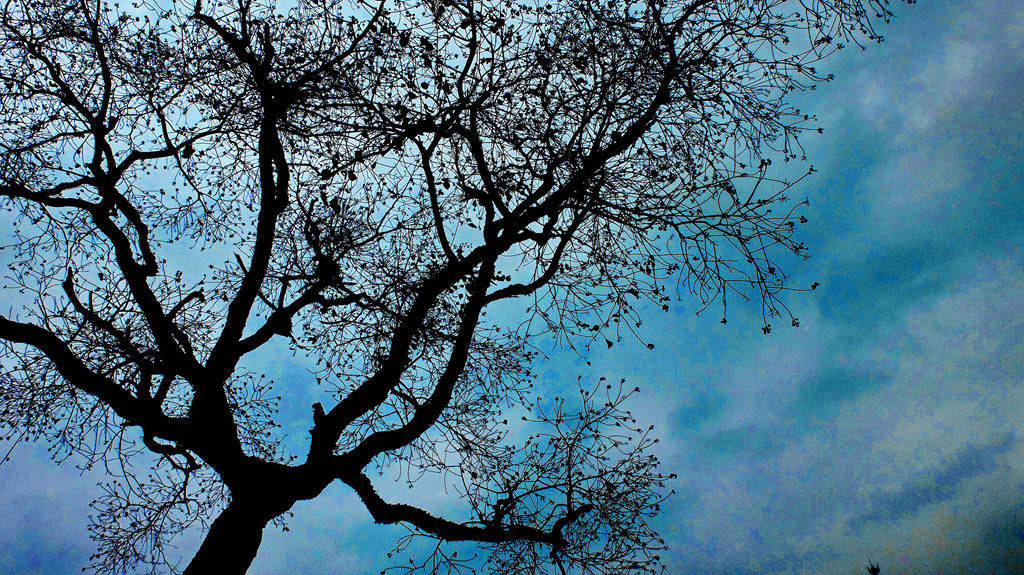 dscf2338.jpg