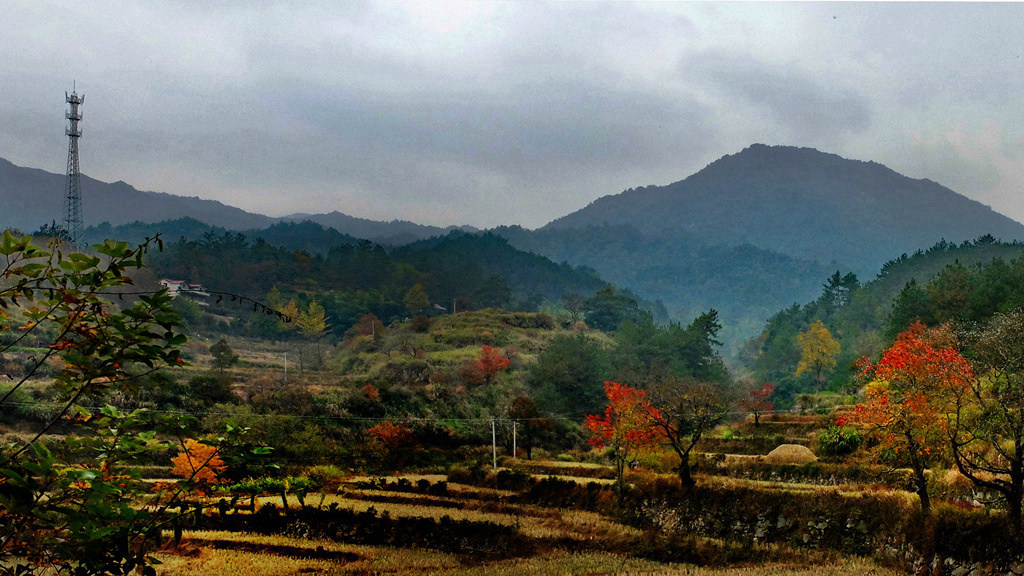 dscf2328.jpg