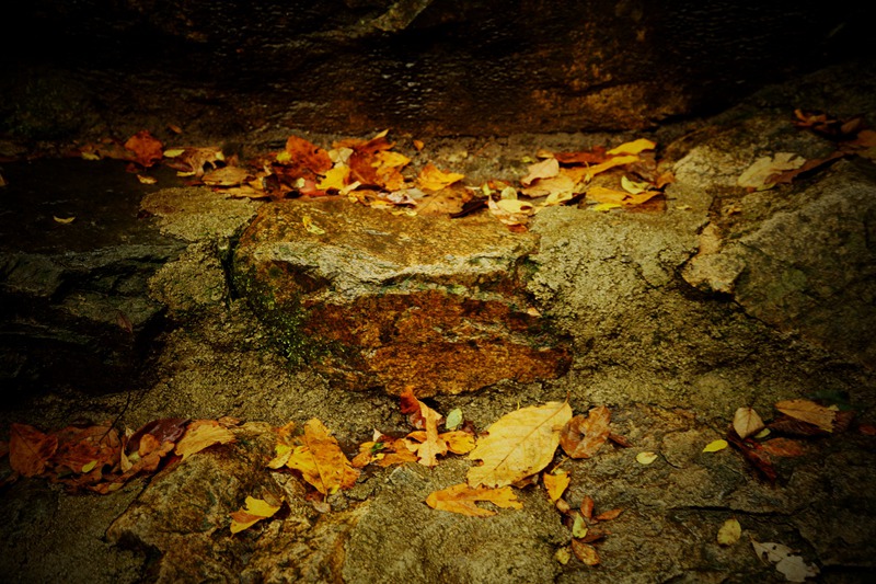 img_8772__.jpg