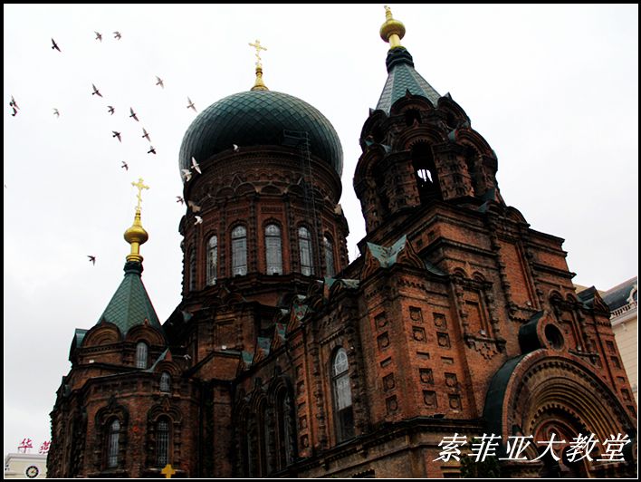 img_7633_副本.jpg