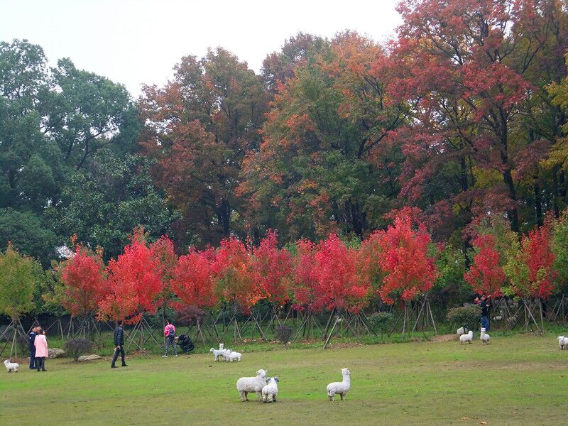 qqͼƬ20151123101941.jpg