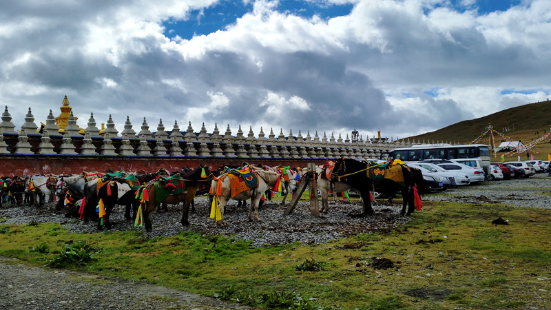 20151002_103555_.jpg