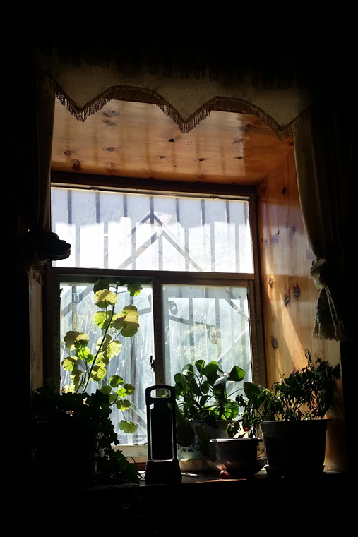 20150929_121718_.jpg
