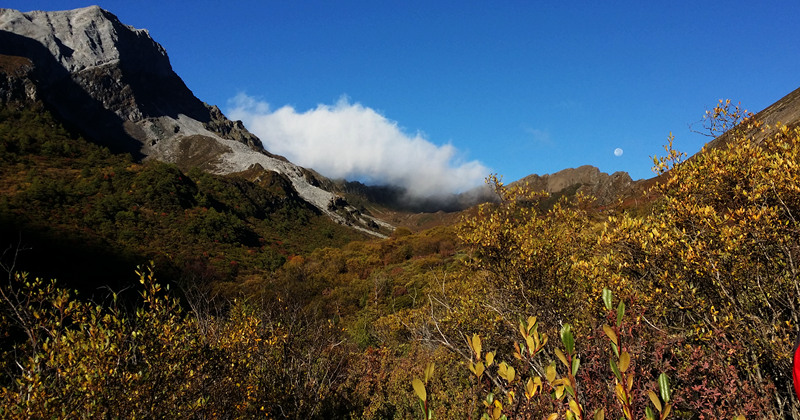 20150930_081611_.jpg