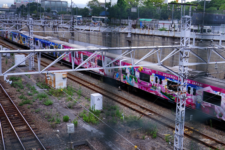 dsc01765.jpg