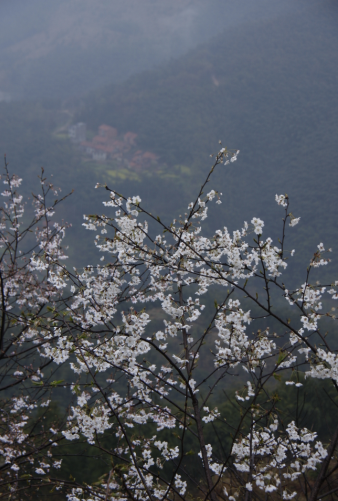 qqͼƬ20151109142023.png