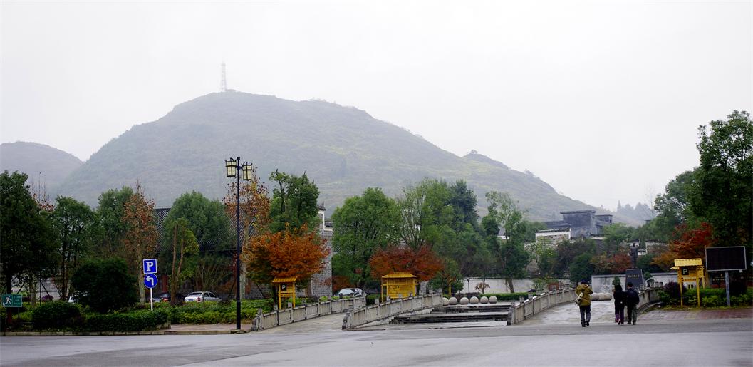 _igp3761.jpg