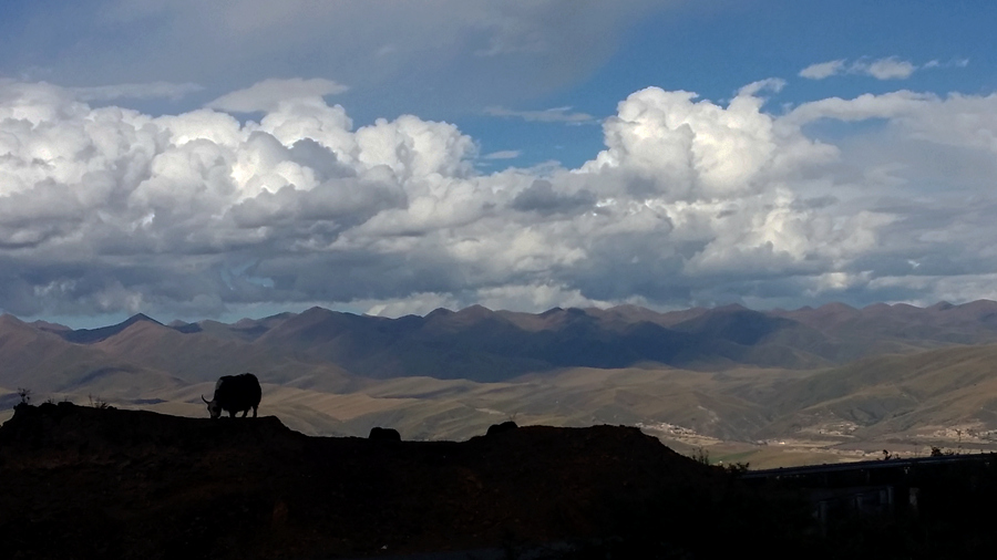 20151005_162800_.jpg