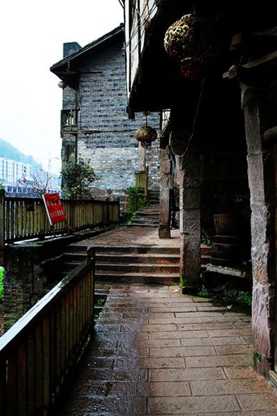 img_8461.jpg