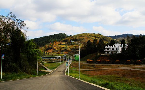 img_8974.jpg