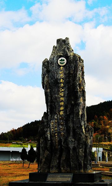 img_8983.jpg