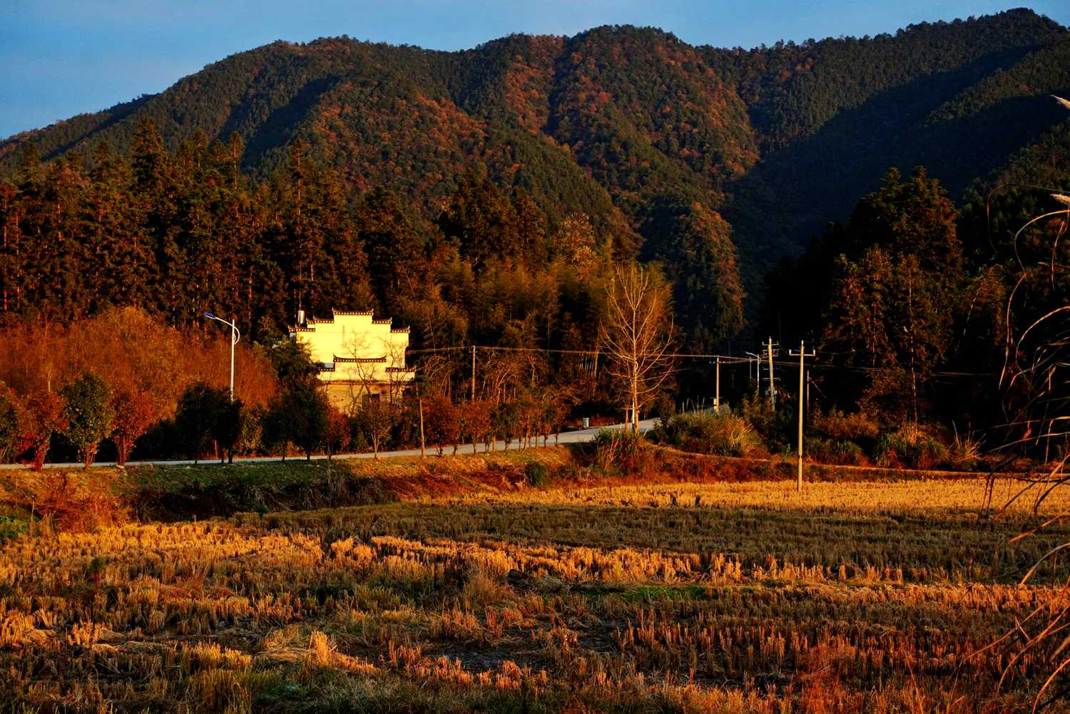 dsc04479_副本.jpg