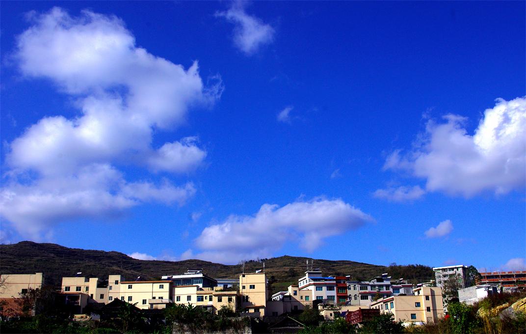 _igp5312.jpg