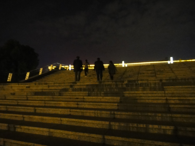 dsc07954.jpg