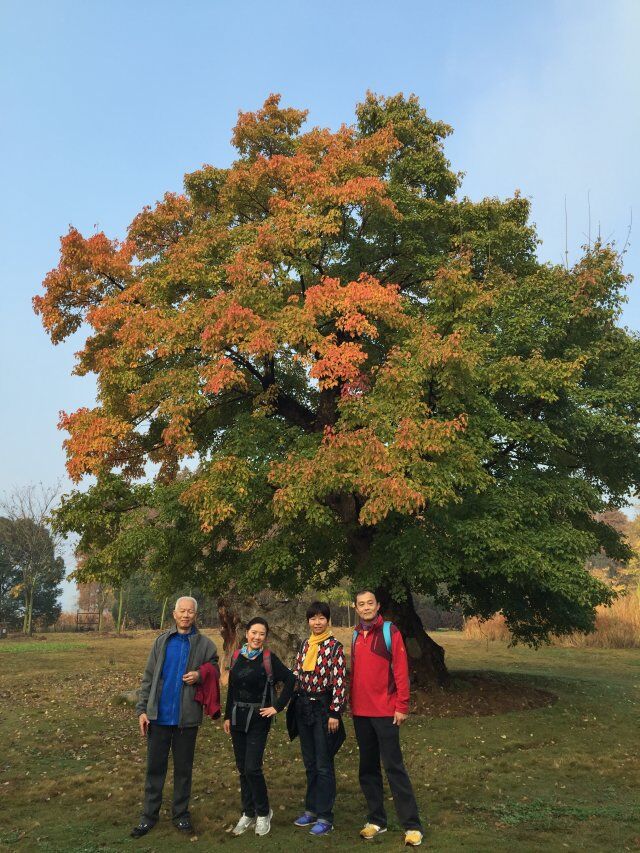 qqͼƬ20151207090839.jpg