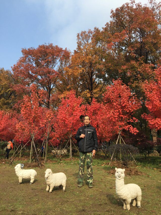 qqͼƬ20151207091015.jpg