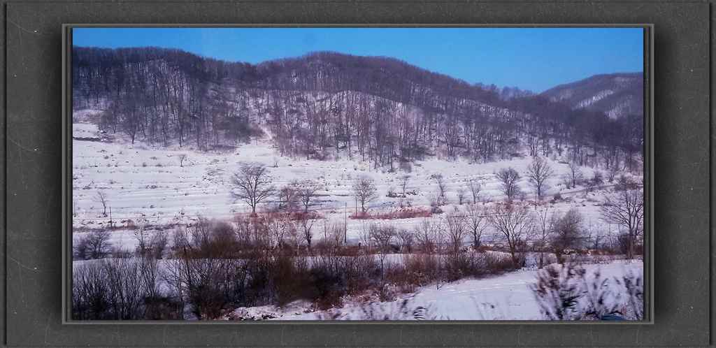 20150113_132617_.jpg