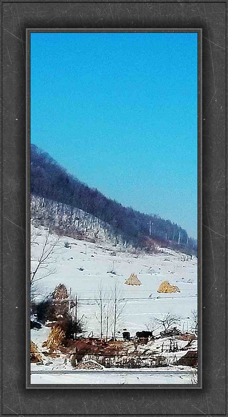 20150113_132655_.jpg