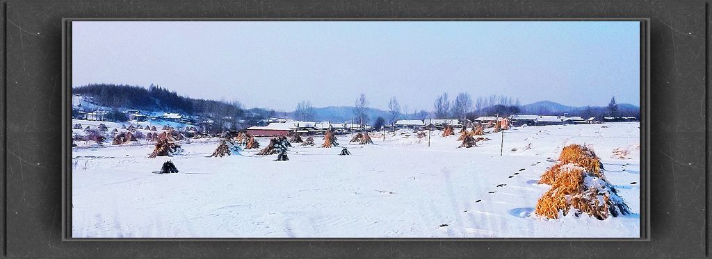 20150113_143655_.jpg