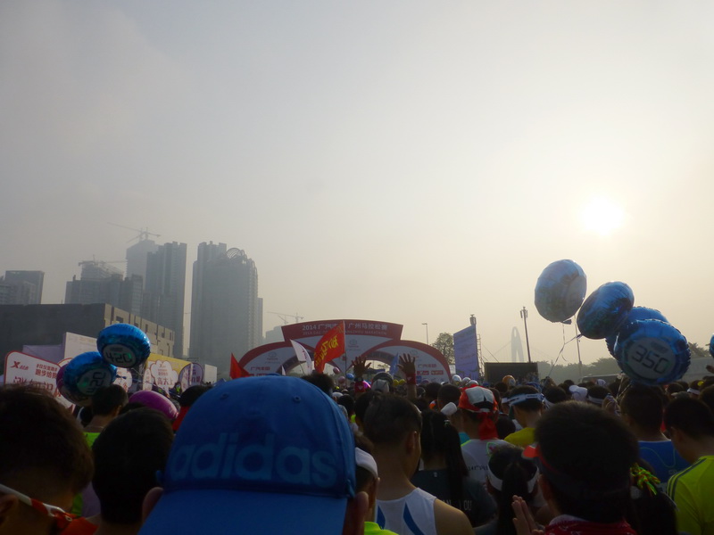 p1290305.jpg