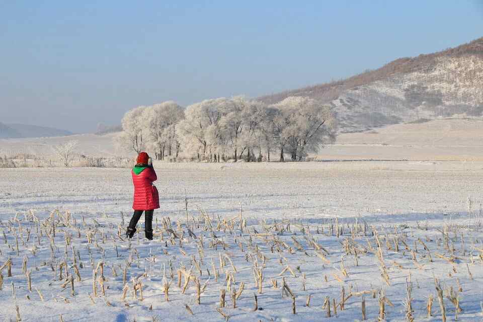 qqͼƬ20150129131955.jpg
