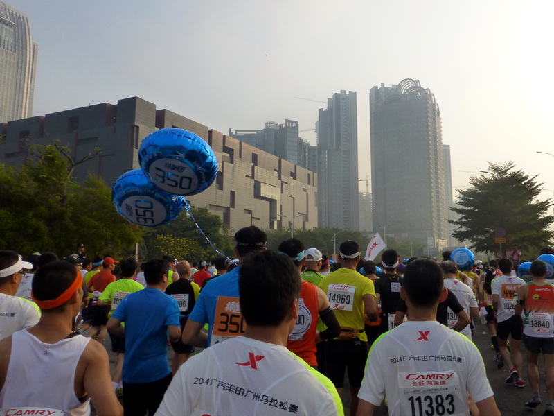 p1290314.jpg