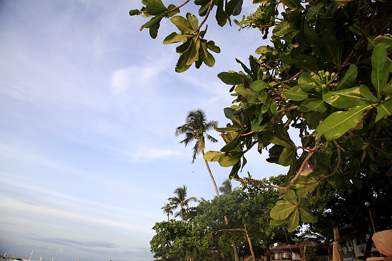 _mg_4248.jpg