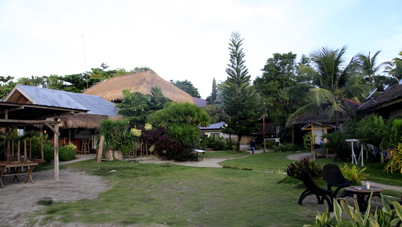 _mg_4262.jpg