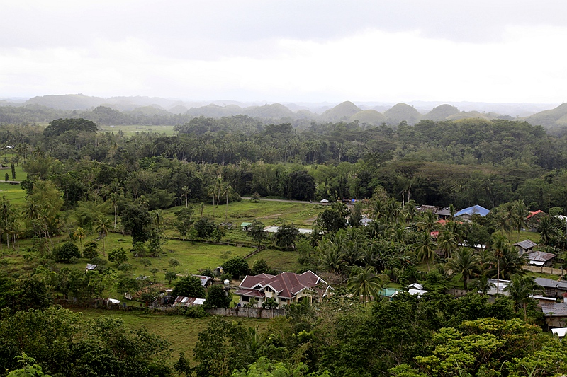 _mg_4312.jpg