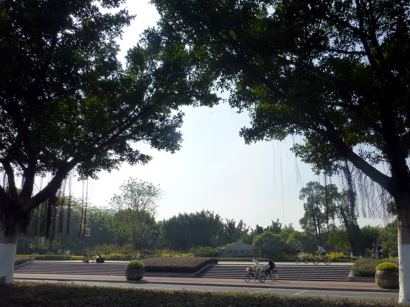 p1290378.jpg