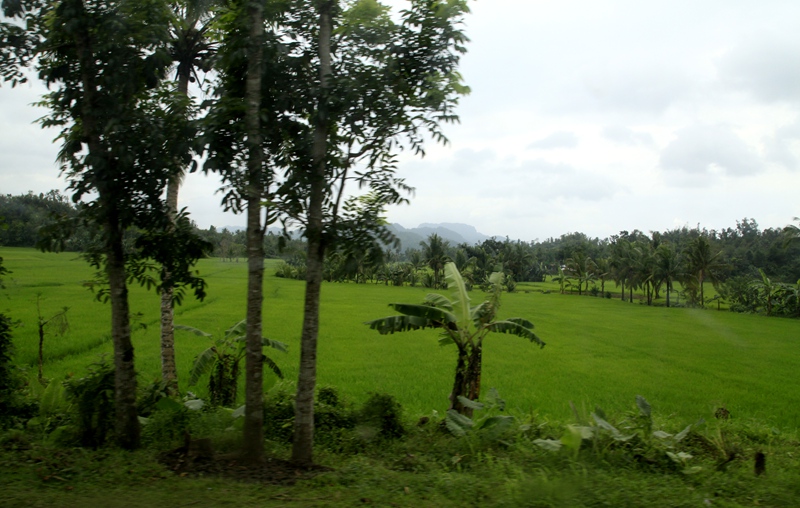 _mg_4635.jpg