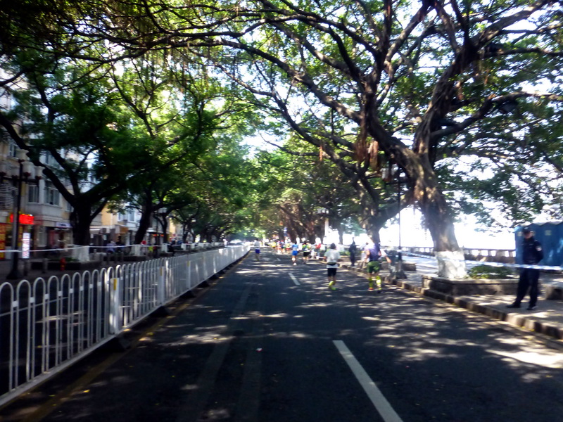p1290421.jpg