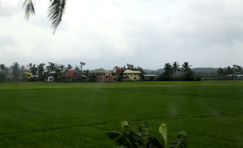 _mg_4645.jpg