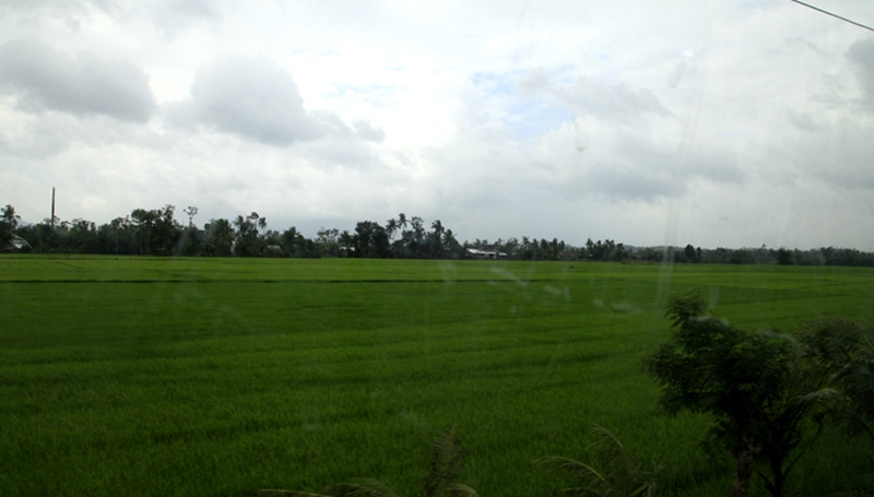 _mg_4642.jpg