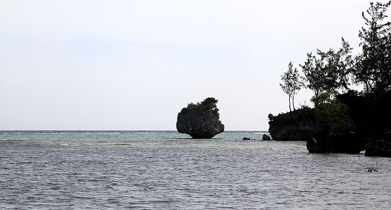 _mg_5180.jpg