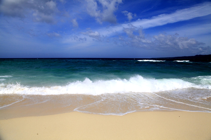 _mg_5262.jpg