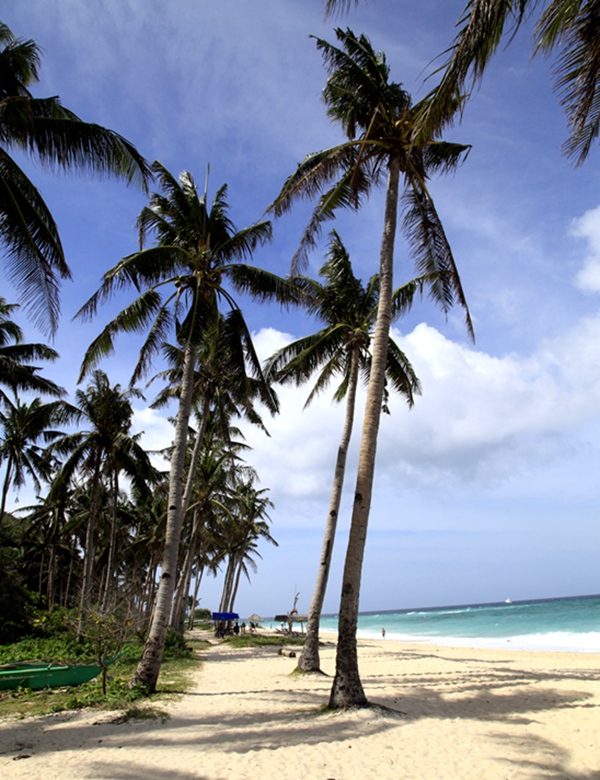 _mg_5268.jpg