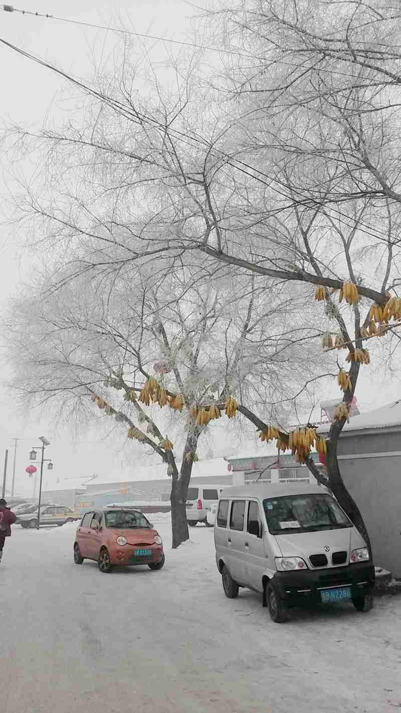 20150114_102616_.jpg