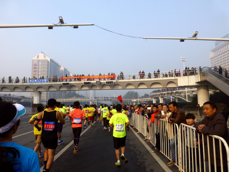 p1280790.jpg