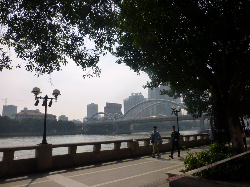 p1290445.jpg