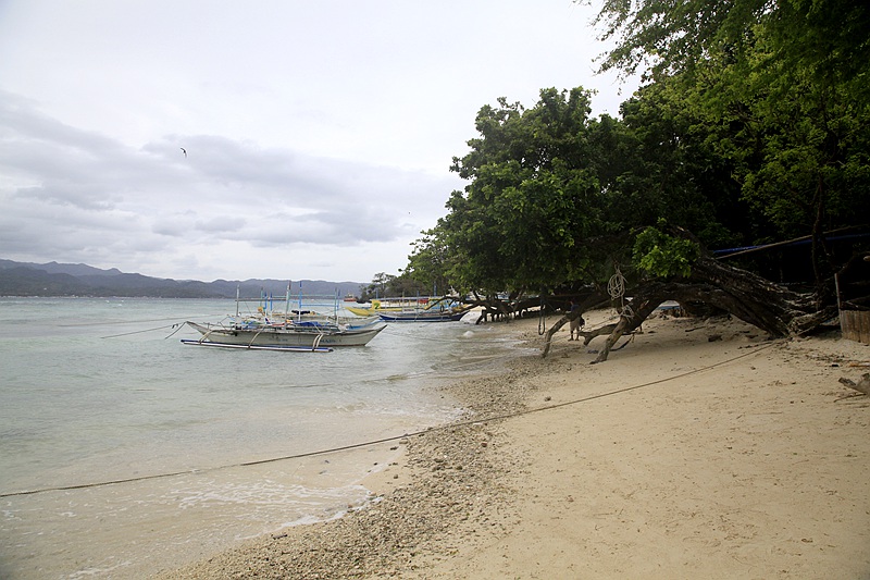 _mg_5544.jpg