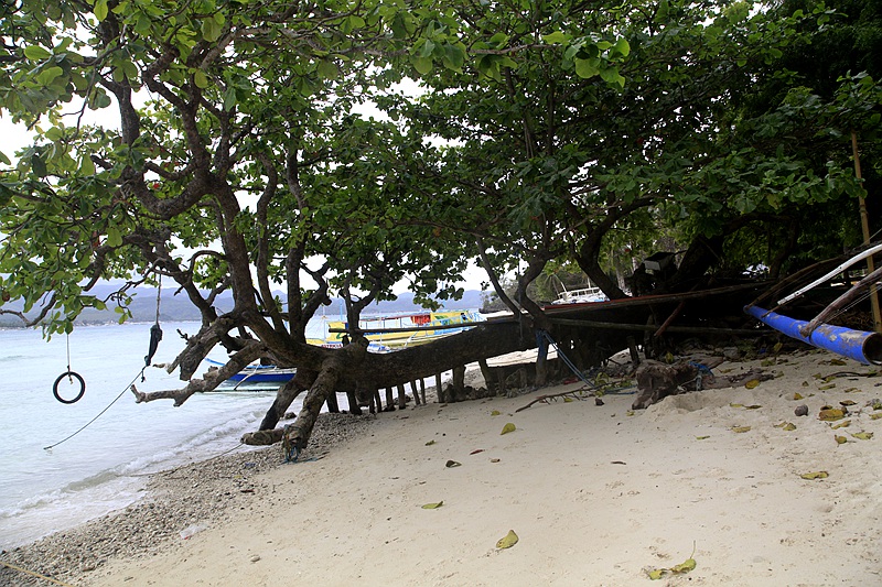 _mg_5546.jpg