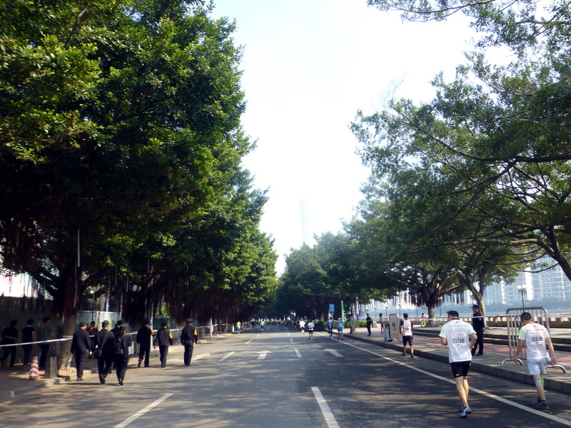p1290467.jpg