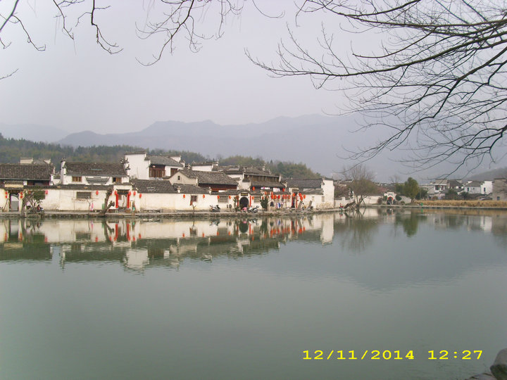dsci7304.jpg